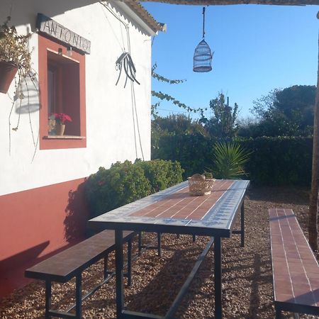 Casa Rural Camino De Los Molinos Y Su Establo لا بويبلا دي لوس إينفانتيس المظهر الخارجي الصورة